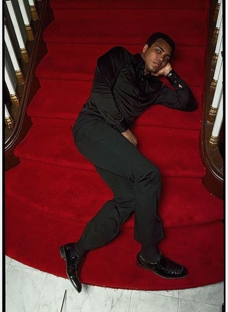 Red Carpet Repose — RR-02